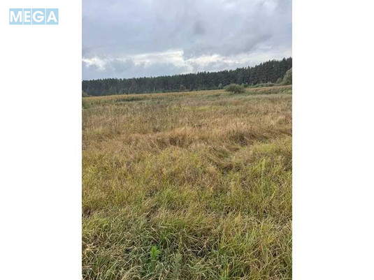 Продажа участка, 167,12&nbsp;соток, земля сельскохозяйственного назначения, <a class="location-link" href="/litvinovka-selo-kv/" title="Недвижимость Литвинівка">Литвинівка</a>, Нова (изображение 8)