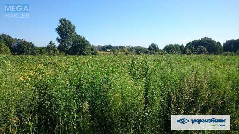 Продажа участка, 200&nbsp;соток, участок под жилую застройку, <a class="location-link" href="/zozuli/" title="Недвижимость Зозулі">Зозулі</a>, нова (изображение 10)