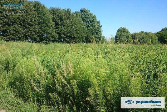 Продажа участка, 200&nbsp;соток, участок под жилую застройку, <a class="location-link" href="/zozuli/" title="Недвижимость Зозулі">Зозулі</a>, нова (изображение 11)