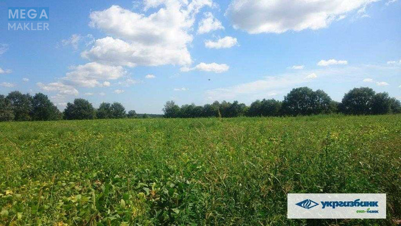 Продажа участка, 200&nbsp;соток, участок под жилую застройку, <a class="location-link" href="/zozuli/" title="Недвижимость Зозулі">Зозулі</a>, нова (изображение 12)