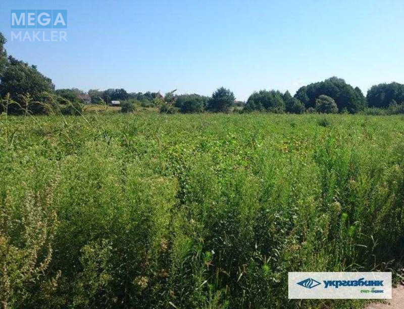 Продажа участка, 200&nbsp;соток, участок под жилую застройку, <a class="location-link" href="/zozuli/" title="Недвижимость Зозулі">Зозулі</a>, нова (изображение 13)