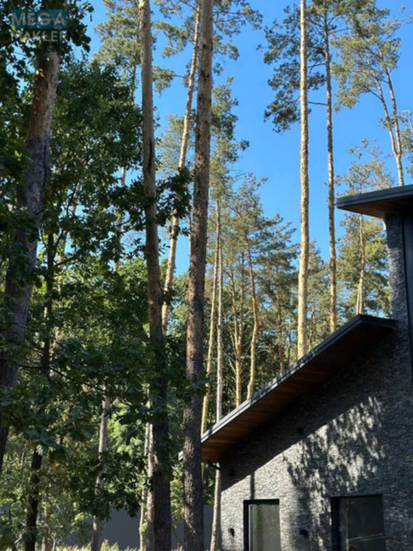 Продаж дома, 1&nbsp; поверх, 275&nbsp;кв.м, 5&nbsp;кімнат, ділянка 60&nbsp;соток, <a class="location-link" href="/putrovka/" title="Недвижимость Путрівка">Путрівка</a>, <a class="location-link" href="/putrovka/podolskij/" title="Недвижимость Подольский район">Подольский р-н</a>, Дубова, 1 (изображение 4)