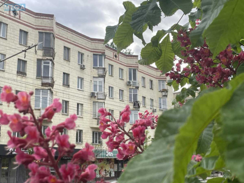 Продаж 2 кімнатної квартири (46/29/6), 4 пов. 5 пов. будинку, <a class="location-link" href="/kiev/" title="Недвижимость Київ">Київ</a>, <a class="location-link" href="/kiev/shevchenkovskij/" title="Недвижимость Шевченківський район">Шевченківський р-н</a>, Берестейский просп., 7 (изображение 21)