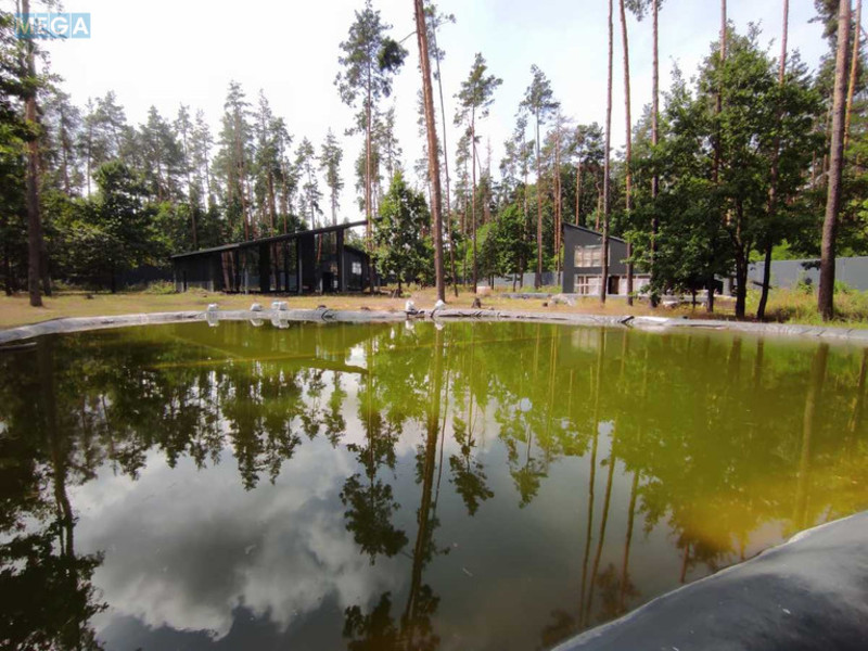 Продаж дома, 1&nbsp; поверх, 275&nbsp;кв.м, 4&nbsp;кімнати, ділянка 60&nbsp;соток, <a class="location-link" href="/glevaha/" title="Недвижимость Глеваха">Глеваха</a>, Дубова, 1 (изображение 10)