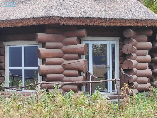 Продаж дома, 1&nbsp; поверх, 275&nbsp;кв.м, 4&nbsp;кімнати, ділянка 60&nbsp;соток, <a class="location-link" href="/glevaha/" title="Недвижимость Глеваха">Глеваха</a>, Дубова, 1 (изображение 21)