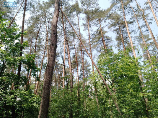 Продажа участка, 9&nbsp;соток, участок под жилую застройку, <a class="location-link" href="/kiev/" title="Недвижимость Київ">Київ</a>, <a class="location-link" href="/kiev/podolskij/" title="Недвижимость Подільський район">Подільський р-н</a>, Синеозерная ул. (изображение 8)