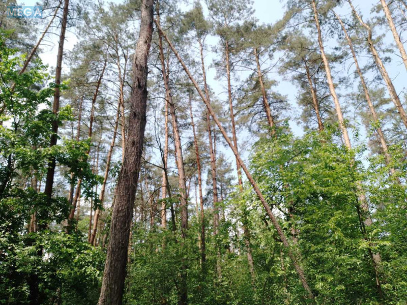 Продажа участка, 9&nbsp;соток, участок под жилую застройку, <a class="location-link" href="/kiev/" title="Недвижимость Київ">Київ</a>, <a class="location-link" href="/kiev/podolskij/" title="Недвижимость Подільський район">Подільський р-н</a>, Синеозерная ул. (изображение 8)