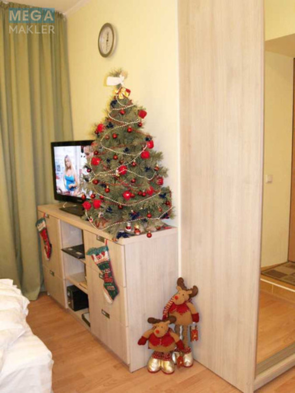 Оренда 1 кімнатної квартири, <a class="location-link" href="/kiev/" title="Недвижимость Київ">Київ</a>, <a class="location-link" href="/kiev/shevchenkovskij/" title="Недвижимость Шевченківський район">Шевченківський р-н</a>, Мала Житомирська вул., 18 (изображение 9)