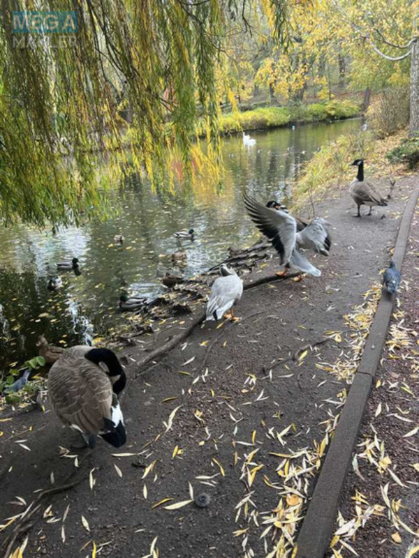 Продаж 1 кімнатної квартири (43/15/15), 1 пов. 12 пов. будинку, <a class="location-link" href="/kiev/" title="Недвижимость Київ">Київ</a>, <a class="location-link" href="/kiev/podolskij/" title="Недвижимость Подільський район">Подільський р-н</a>, Вишгородська вул., 45 (изображение 17)