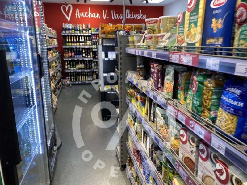 Продаж комерційної нерухомості, 155&nbsp;кв.м, под магазин, <a class="location-link" href="/kiev/" title="Недвижимость Київ">Київ</a>, <a class="location-link" href="/kiev/pecherskij/" title="Недвижимость Печерський район">Печерський р-н</a>, Велика Васильківська вул., 111/113 (изображение 12)