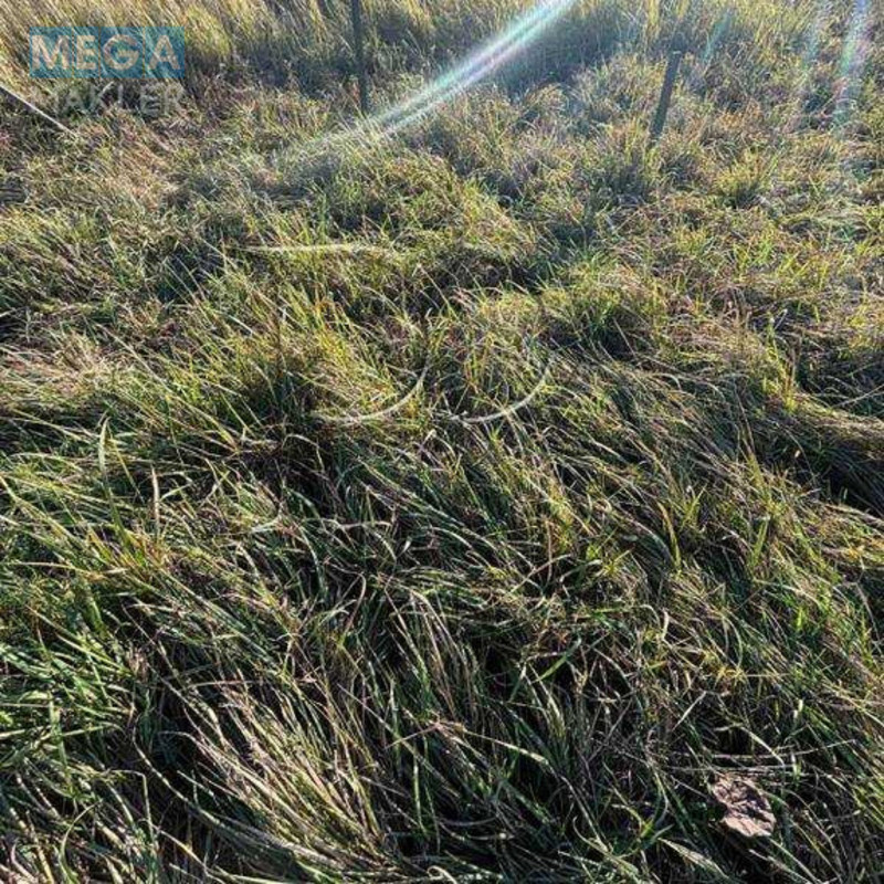 Продажа участка, 8&nbsp;соток, участок под жилую застройку, <a class="location-link" href="/gatnoe/" title="Недвижимость Гатне">Гатне</a>, Курганна вулиця (изображение 5)