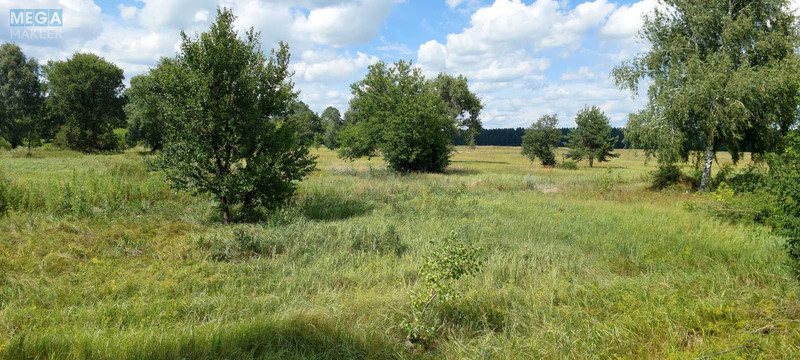 Продажа участка, 800&nbsp;соток, земля сельскохозяйственного назначения, <a class="location-link" href="/oster/" title="Недвижимость Остер">Остер</a>, Одинця (изображение 5)