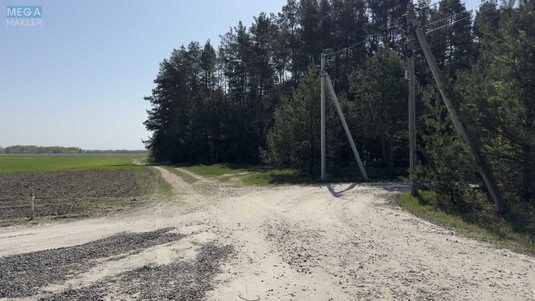 Продажа участка, 1&nbsp;600&nbsp;соток, участок под жилую застройку, <a class="location-link" href="/bogdanovka-selo-kv-brovarskij-rajon/" title="Недвижимость Богданівка">Богданівка</a>, Новобогданівська (изображение 7)