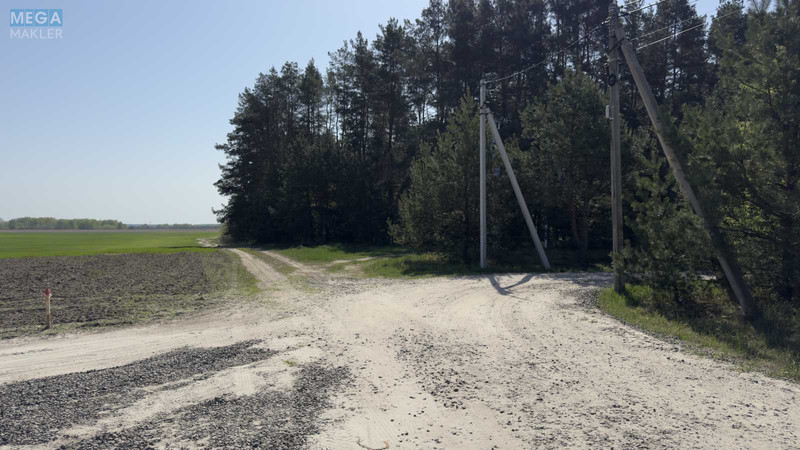 Продажа участка, 1&nbsp;600&nbsp;соток, участок под жилую застройку, <a class="location-link" href="/bogdanovka-selo-kv-brovarskij-rajon/" title="Недвижимость Богданівка">Богданівка</a>, Новобогданівська (изображение 7)