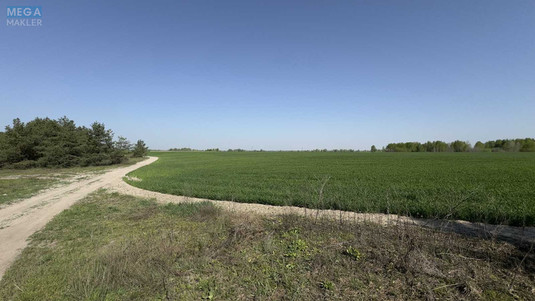 Продажа участка, 1&nbsp;600&nbsp;соток, участок под жилую застройку, <a class="location-link" href="/bogdanovka-selo-kv-brovarskij-rajon/" title="Недвижимость Богданівка">Богданівка</a>, Новобогданівська (изображение 8)