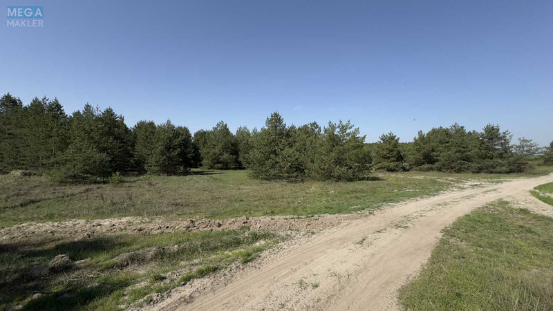 Продажа участка, 1&nbsp;600&nbsp;соток, участок под жилую застройку, <a class="location-link" href="/bogdanovka-selo-kv-brovarskij-rajon/" title="Недвижимость Богданівка">Богданівка</a>, Новобогданівська (изображение 9)