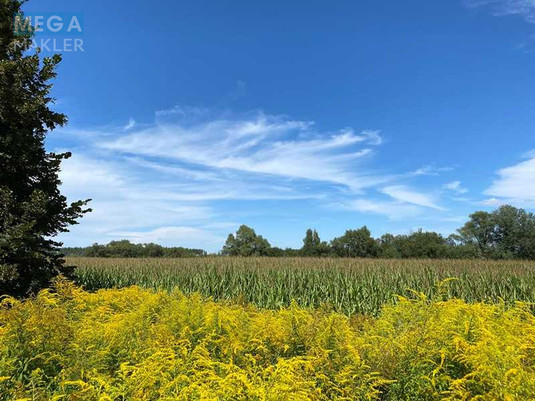 Продажа участка, 487,22&nbsp;соток, земля сельскохозяйственного назначения, <a class="location-link" href="/gruzskoe-selo-kv/" title="Недвижимость Грузьке">Грузьке</a>, Нова (изображение 2)