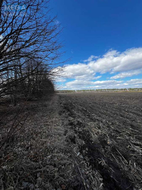 Продажа участка, 487,22&nbsp;соток, земля сельскохозяйственного назначения, <a class="location-link" href="/gruzskoe-selo-kv/" title="Недвижимость Грузьке">Грузьке</a>, Нова (изображение 4)