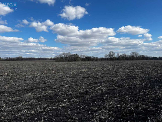 Продажа участка, 487,22&nbsp;соток, земля сельскохозяйственного назначения, <a class="location-link" href="/gruzskoe-selo-kv/" title="Недвижимость Грузьке">Грузьке</a>, Нова (изображение 5)