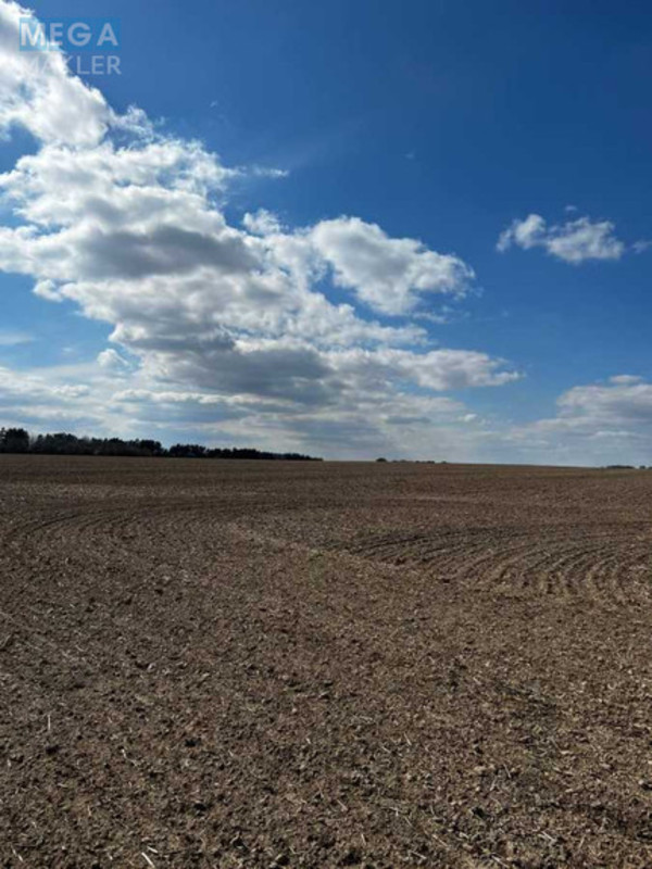 Продажа участка, 603,59&nbsp;сотки, участок под жилую застройку, <a class="location-link" href="/gruzskoe-selo-kv/" title="Недвижимость Грузьке">Грузьке</a>, нова (изображение 3)