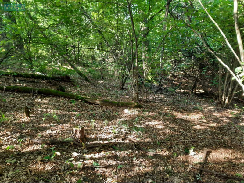 Продажа участка, 74&nbsp;сотки, земля коммерческого назначения, <a class="location-link" href="/starye-bezradichi/" title="Недвижимость Старі Безрадичі">Старі Безрадичі</a>, б/н (изображение 3)