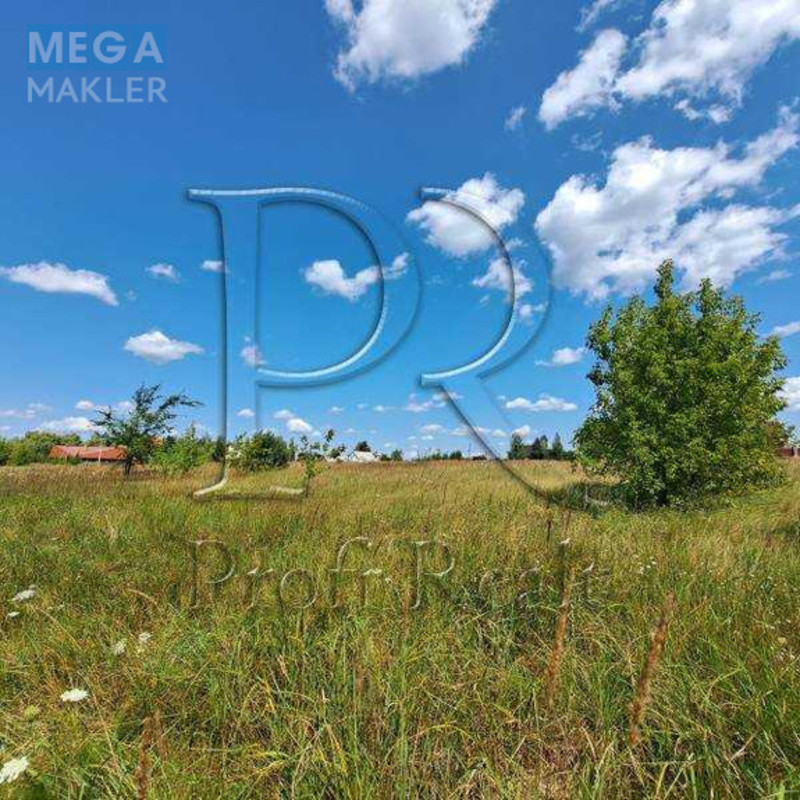 Продажа участка, 25&nbsp;соток, участок под жилую застройку, <a class="location-link" href="/kolonshina/" title="Недвижимость Колонщина">Колонщина</a>, Молодіжна вулиця 1 (изображение 6)