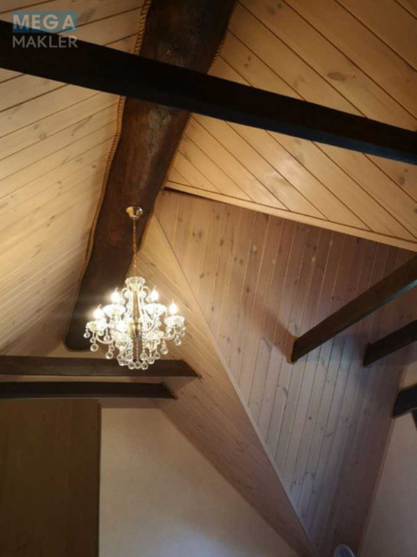 Продаж дома, 2&nbsp;поверху, 350&nbsp;кв.м, 8&nbsp;кімнат, ділянка 17&nbsp;соток, <a class="location-link" href="/kozin/" title="Недвижимость Козин">Козин</a>, Старокиевская (изображение 19)