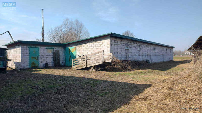 Продаж комплексу будівель та споруд, 600&nbsp;кв.м, под производство, <a class="location-link" href="/litki-selo-kv/" title="Недвижимость Літки">Літки</a>, зазимская (изображение 2)