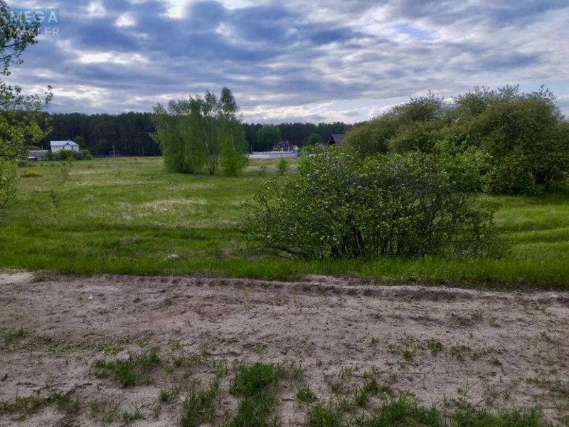 Продажа участка, 39&nbsp;соток, земля сельскохозяйственного назначения, <a class="location-link" href="/zhukin/" title="Недвижимость Жукін">Жукин</a>, Центральная (изображение 3)