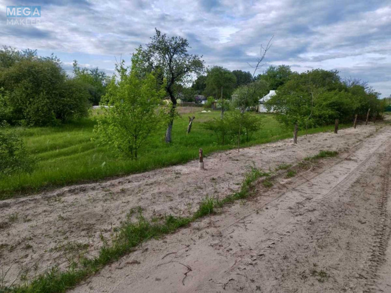 Продажа участка, 39&nbsp;соток, земля сельскохозяйственного назначения, <a class="location-link" href="/zhukin/" title="Недвижимость Жукін">Жукин</a>, Центральная (изображение 5)