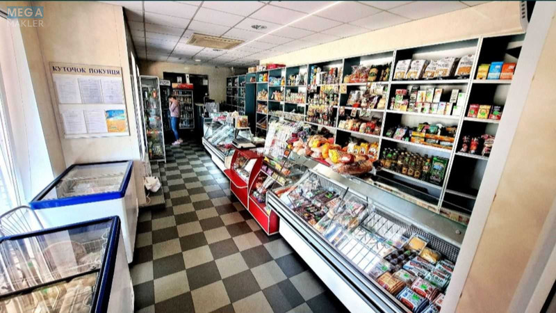 Продаж окремої будівлі/побудови, 465&nbsp;кв.м, <a class="location-link" href="/poradovka/" title="Недвижимость Порадівка">Порадівка</a>, Реаолюціїї, 1 (изображение 11)