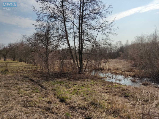 Продажа участка, 200&nbsp;соток, земля сельскохозяйственного назначения, <a class="location-link" href="/staroe/" title="Недвижимость Старе">Старе</a>, Старівська с/р (изображение 3)