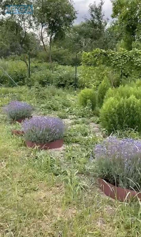 Продажа участка, 16&nbsp;соток, участок под жилую застройку, <a class="location-link" href="/kiev/" title="Недвижимость Київ">Київ</a>, <a class="location-link" href="/kiev/goloseevskij/" title="Недвижимость Голосіївський район">Голосіївський р-н</a>, Фестивальная ул. (изображение 7)