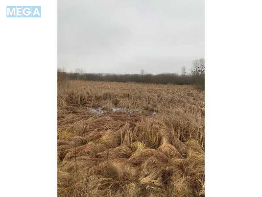 Продажа участка, 200&nbsp;соток, земля сельскохозяйственного назначения, <a class="location-link" href="/golovurov/" title="Недвижимость Головурів">Головурів</a>, Головурів (изображение 2)