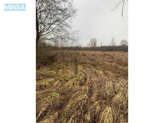 Продажа участка, 200&nbsp;соток, земля сельскохозяйственного назначения, <a class="location-link" href="/golovurov/" title="Недвижимость Головурів">Головурів</a>, Головурів (изображение 3)