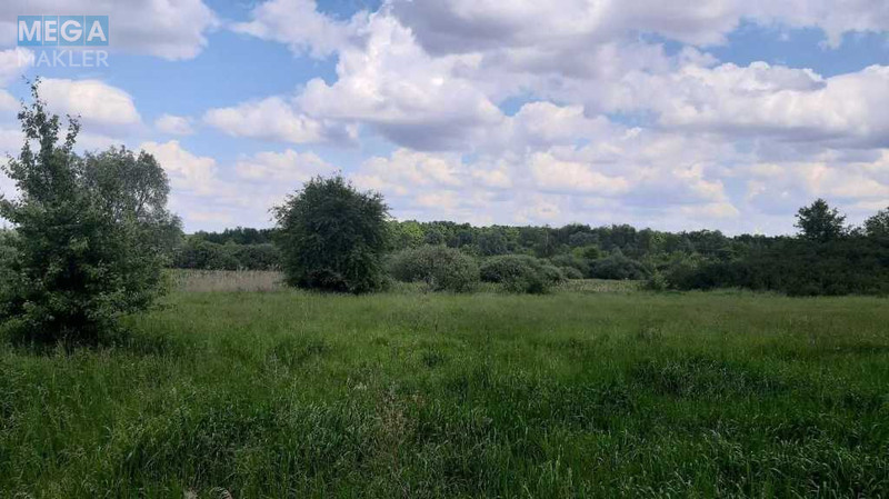 Продажа участка, 200&nbsp;соток, земля сельскохозяйственного назначения, <a class="location-link" href="/golovurov/" title="Недвижимость Головурів">Головурів</a>, Головурів (изображение 5)