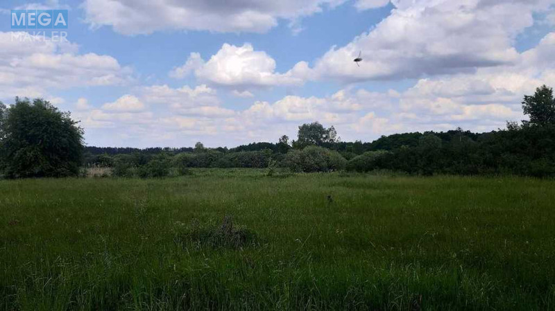 Продажа участка, 200&nbsp;соток, земля сельскохозяйственного назначения, <a class="location-link" href="/golovurov/" title="Недвижимость Головурів">Головурів</a>, Головурів (изображение 6)