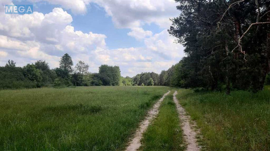 Продажа участка, 200&nbsp;соток, земля сельскохозяйственного назначения, <a class="location-link" href="/golovurov/" title="Недвижимость Головурів">Головурів</a>, Головурів (изображение 9)