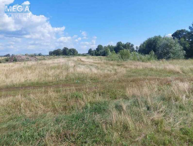 Продажа участка, 6&nbsp;232&nbsp;сотки, земля сельскохозяйственного назначения, <a class="location-link" href="/zazimya/" title="Недвижимость Зазим'я">Зазим`я</a>, Зазімська с/р (изображение 4)