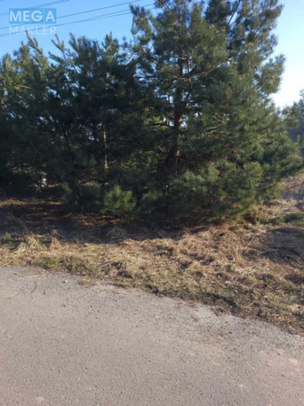 Продажа участка, 15&nbsp;соток, участок под жилую застройку, <a class="location-link" href="/vita-pochtovaya/" title="Недвижимость Віта-Поштова">Віта-Поштова</a>, Лисенко (изображение 9)