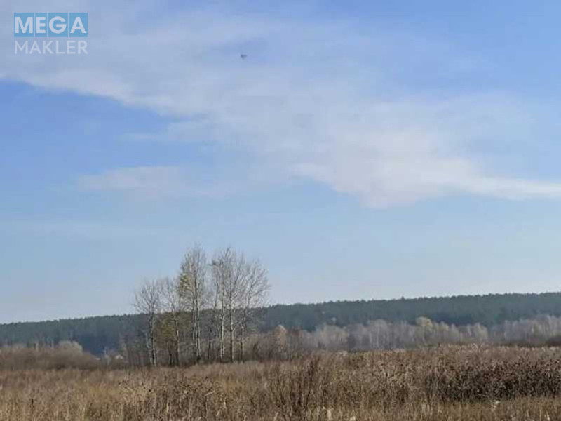 Продажа участка, 32,55&nbsp;сотки, земля сельскохозяйственного назначения, <a class="location-link" href="/puhovka/" title="Недвижимость Пухівка">Пухівка</a>, Нова (изображение 2)