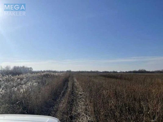 Продажа участка, 32,55&nbsp;сотки, земля сельскохозяйственного назначения, <a class="location-link" href="/puhovka/" title="Недвижимость Пухівка">Пухівка</a>, Нова (изображение 3)