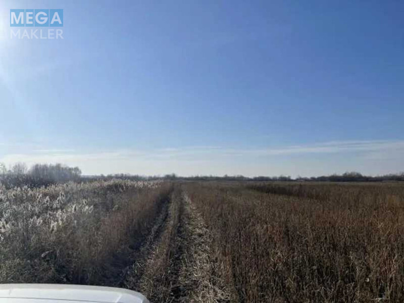 Продажа участка, 32,55&nbsp;сотки, земля сельскохозяйственного назначения, <a class="location-link" href="/puhovka/" title="Недвижимость Пухівка">Пухівка</a>, Нова (изображение 3)