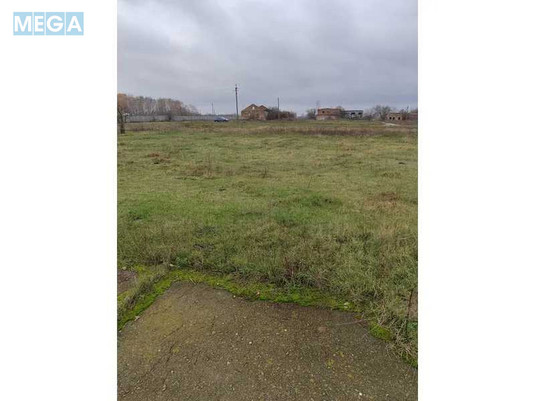 Продажа участка, 169,49&nbsp;соток, земля сельскохозяйственного назначения, <a class="location-link" href="/kozelets/" title="Недвижимость Козелець">Козелець</a>, Нова (изображение 2)