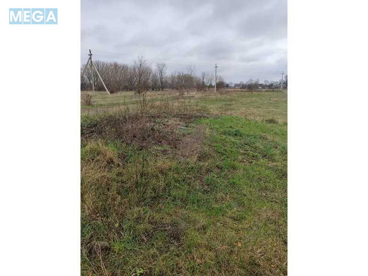 Продажа участка, 169,49&nbsp;соток, земля сельскохозяйственного назначения, <a class="location-link" href="/kozelets/" title="Недвижимость Козелець">Козелець</a>, Нова (изображение 3)