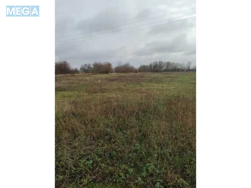 Продажа участка, 169,49&nbsp;соток, земля сельскохозяйственного назначения, <a class="location-link" href="/kozelets/" title="Недвижимость Козелець">Козелець</a>, Нова (изображение 4)