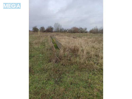 Продажа участка, 169,49&nbsp;соток, земля сельскохозяйственного назначения, <a class="location-link" href="/kozelets/" title="Недвижимость Козелець">Козелець</a>, Нова (изображение 5)