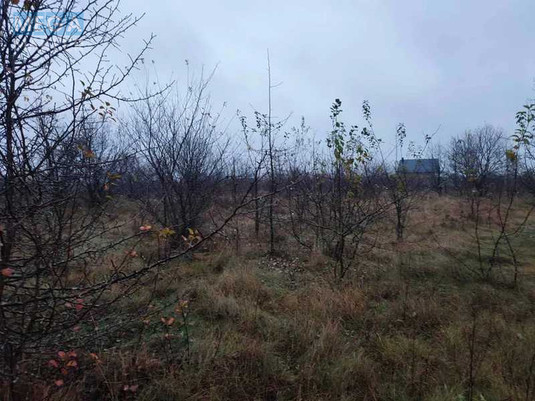 Продажа участка, 22,64&nbsp;сотки, земля сельскохозяйственного назначения, <a class="location-link" href="/novaya-kamenka-selo-lv/" title="Недвижимость Нова Кам'янка">Нова Кам`янка</a>, Садова, 25 (изображение 4)