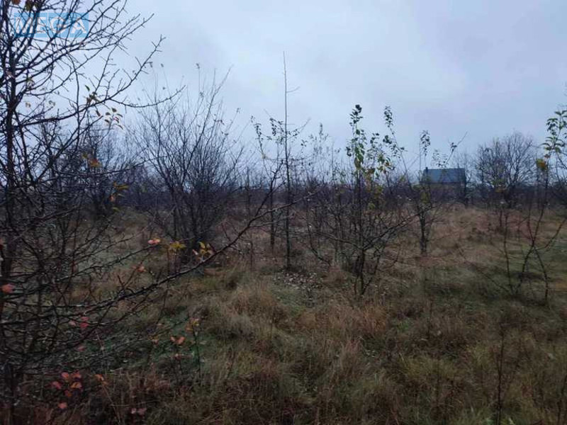 Продажа участка, 22,64&nbsp;сотки, земля сельскохозяйственного назначения, <a class="location-link" href="/novaya-kamenka-selo-lv/" title="Недвижимость Нова Кам'янка">Нова Кам`янка</a>, Садова, 25 (изображение 4)