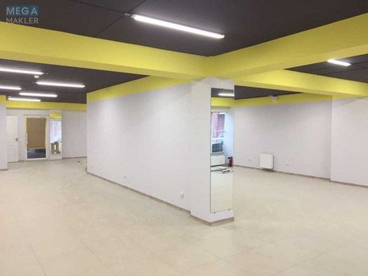 Продаж комерційної нерухомості, 176,50&nbsp;кв.м, под магазин, <a class="location-link" href="/kiev/" title="Недвижимость Київ">Київ</a>, <a class="location-link" href="/kiev/darnickij/" title="Недвижимость Дарницький район">Дарницький р-н</a>, Александра Мишуги ул., 10 (изображение 5)